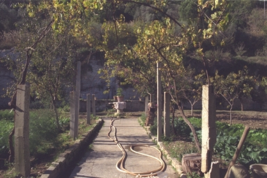 Chiesa di S. Martino al Tesino